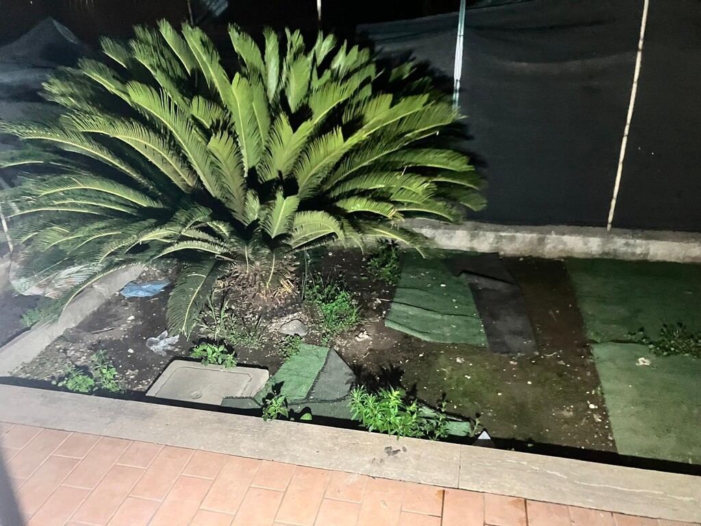  - foto 8