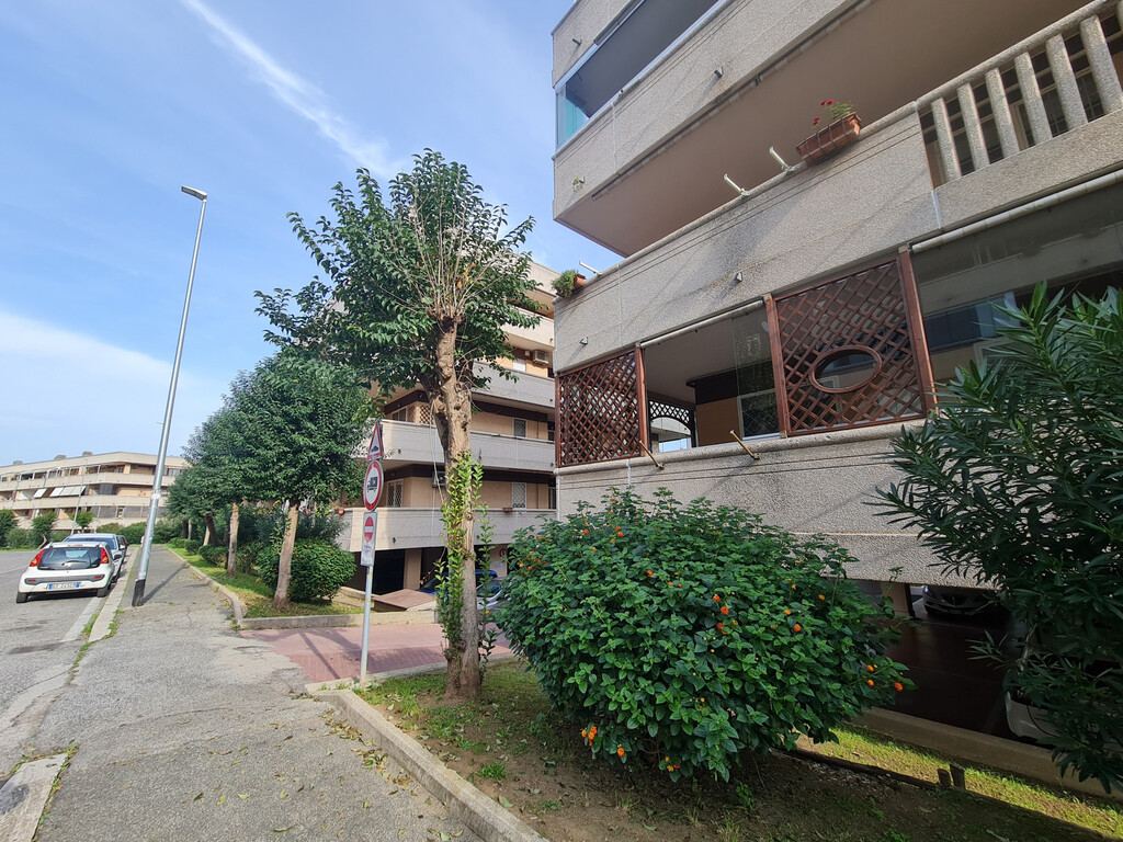  - foto 13