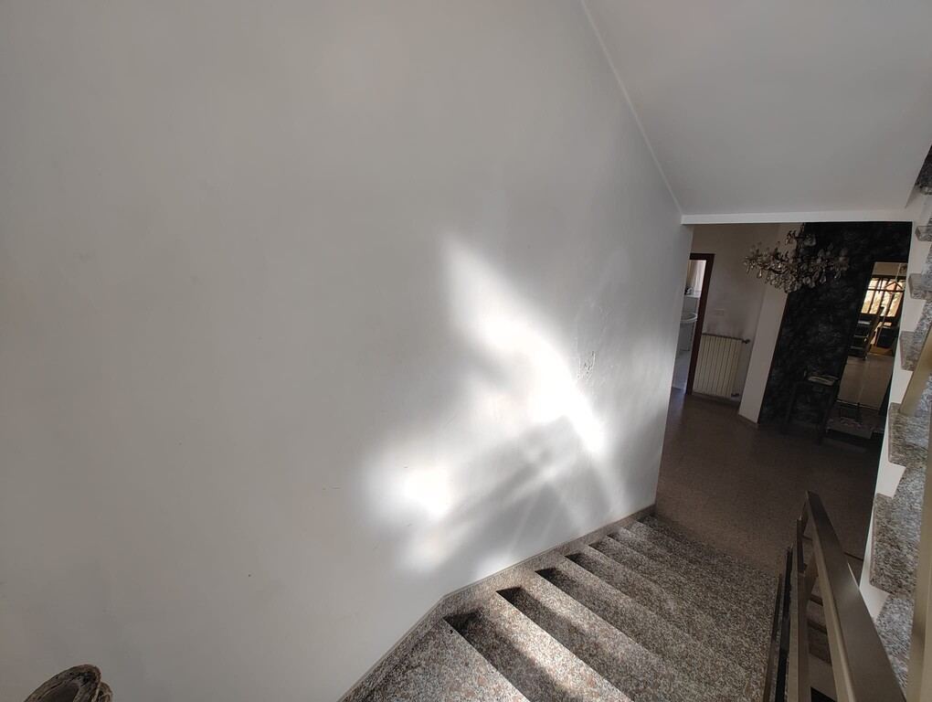  - foto 13
