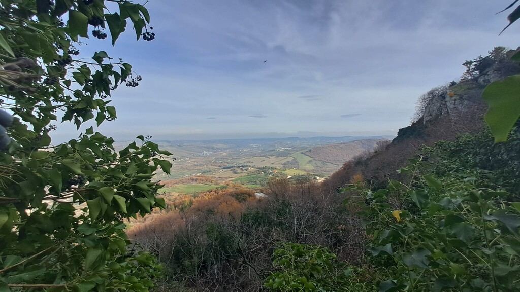  - foto 15