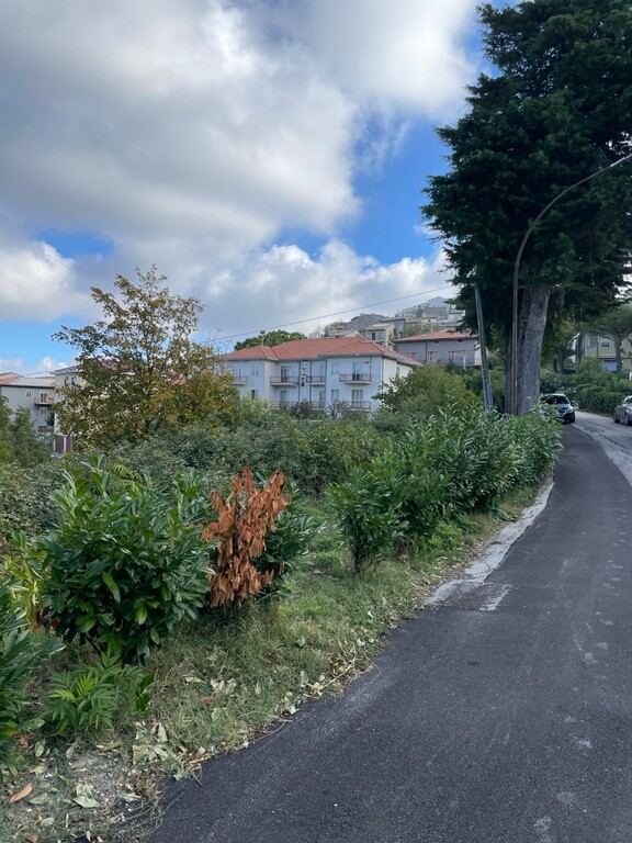  - foto 4