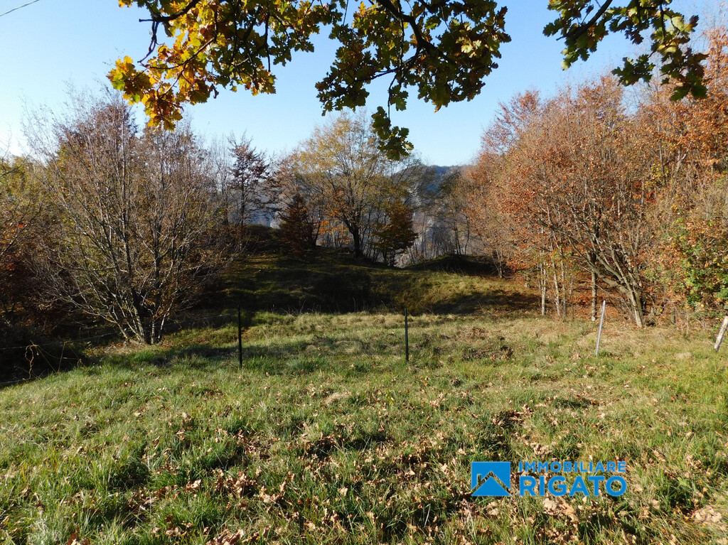 - foto 16