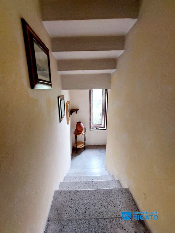  - foto 15