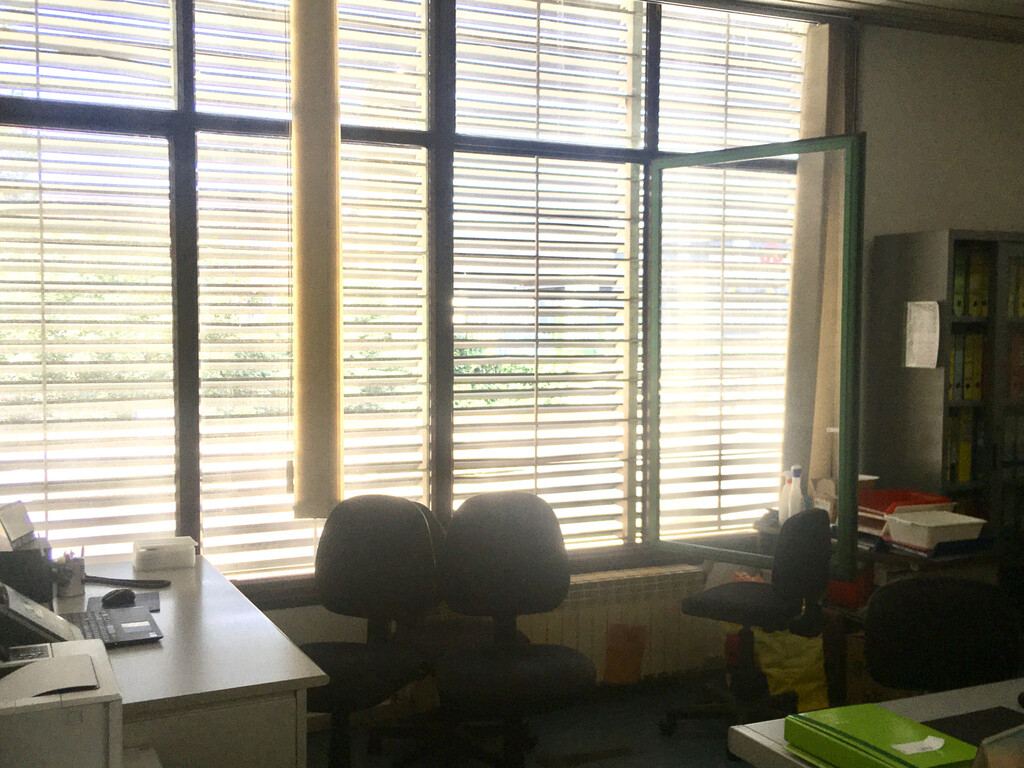  - foto 12