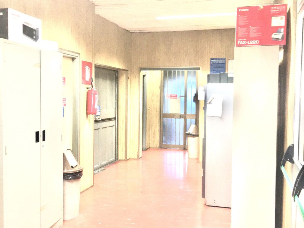  - foto 31