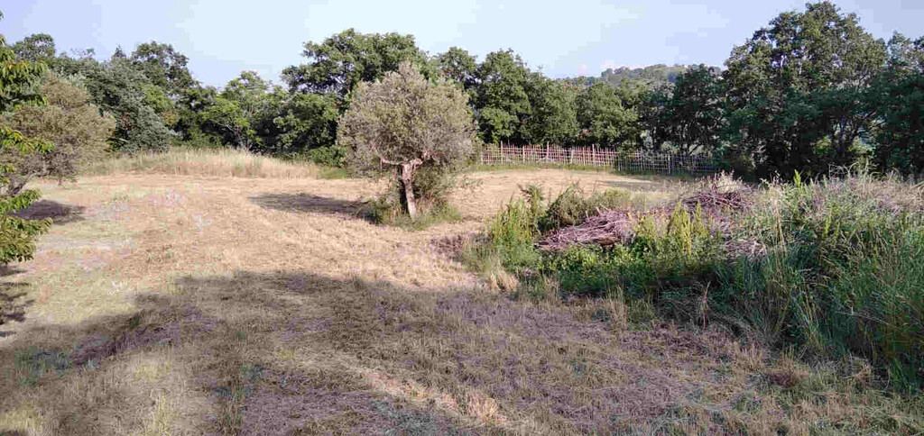  - foto 10