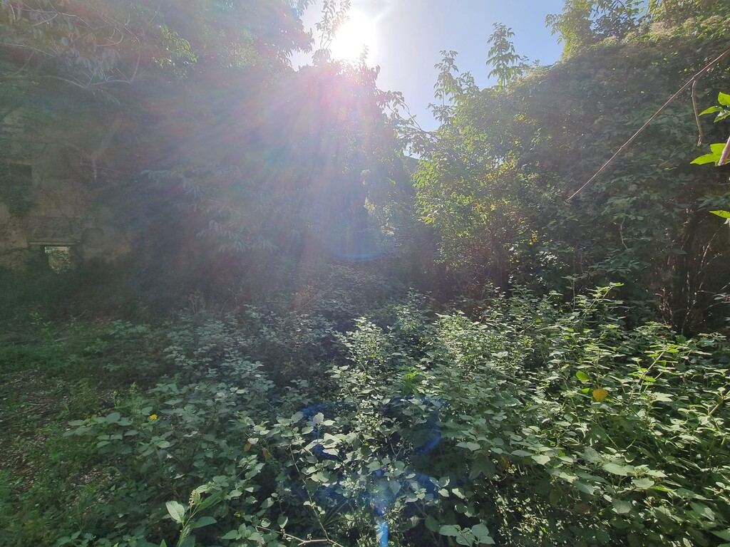  - foto 16