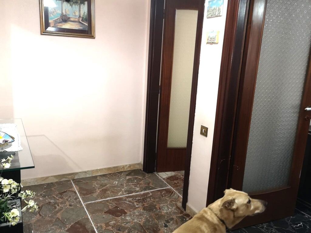  - foto 9