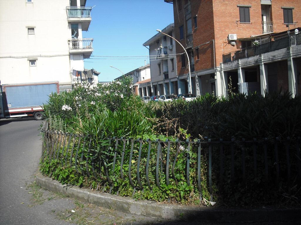  - foto 2