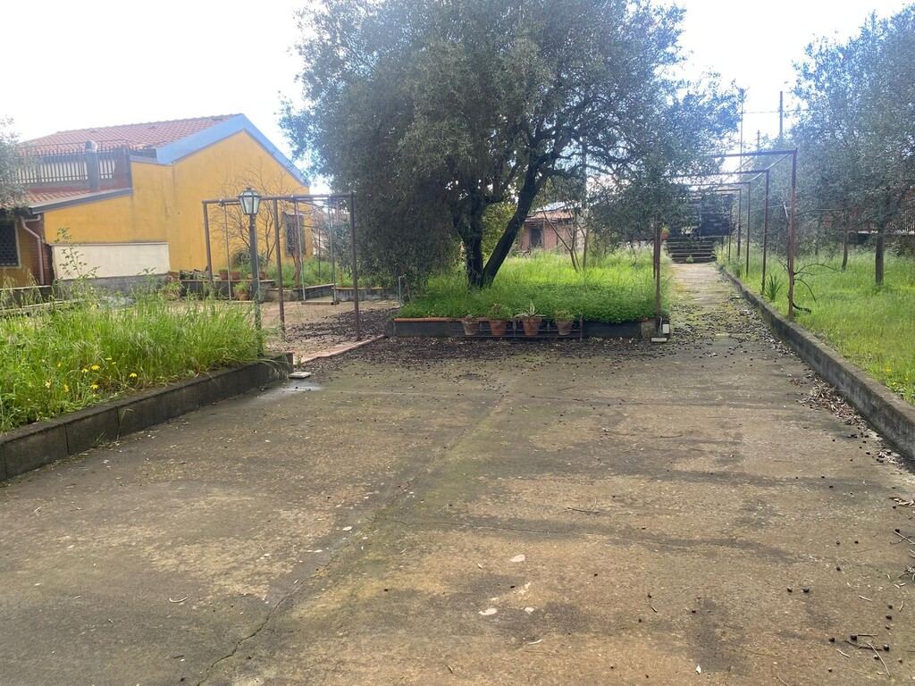  - foto 31