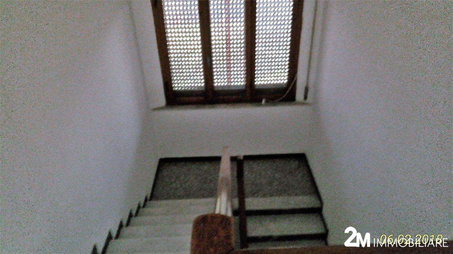  - foto 11