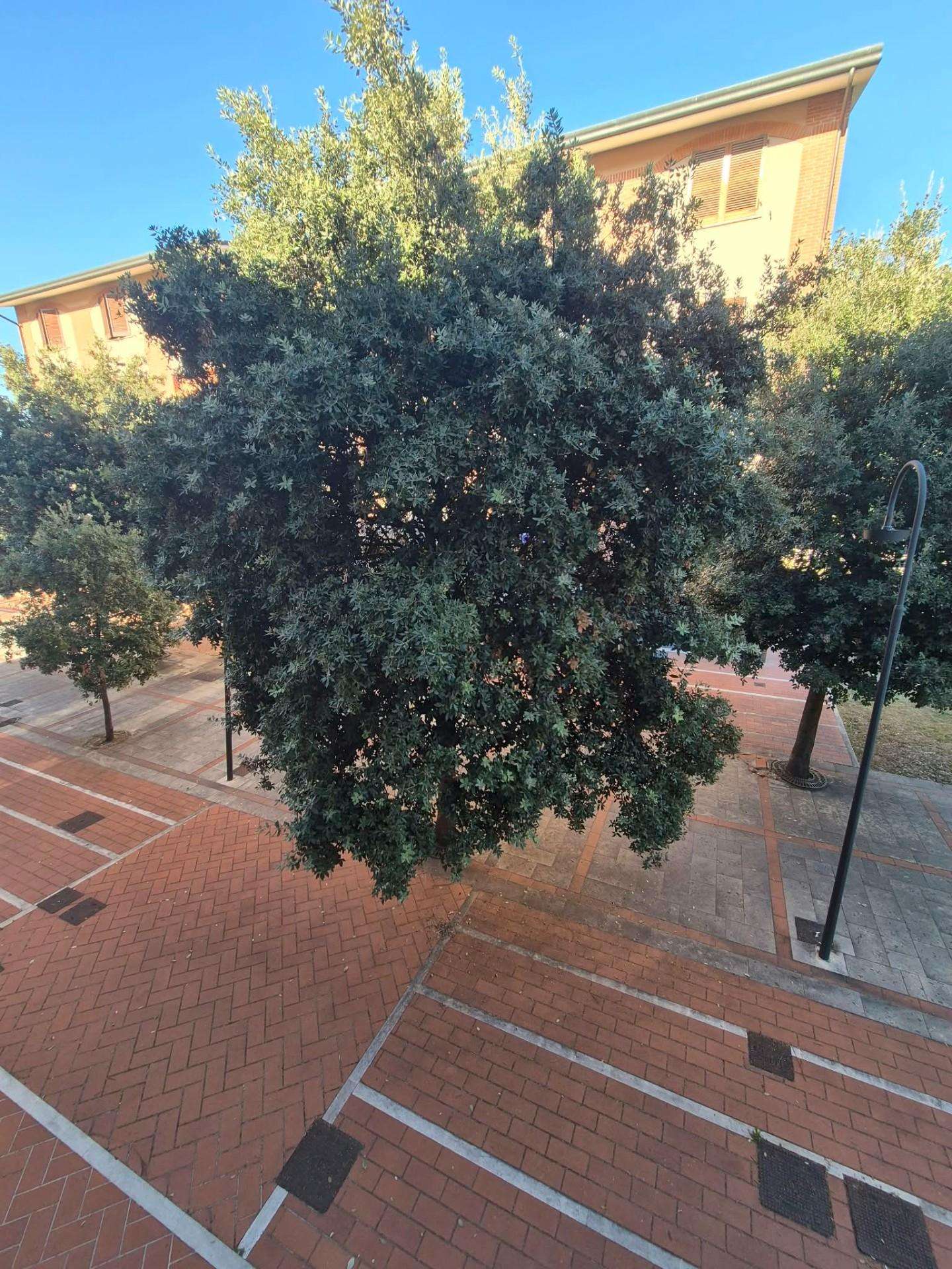 - foto 16