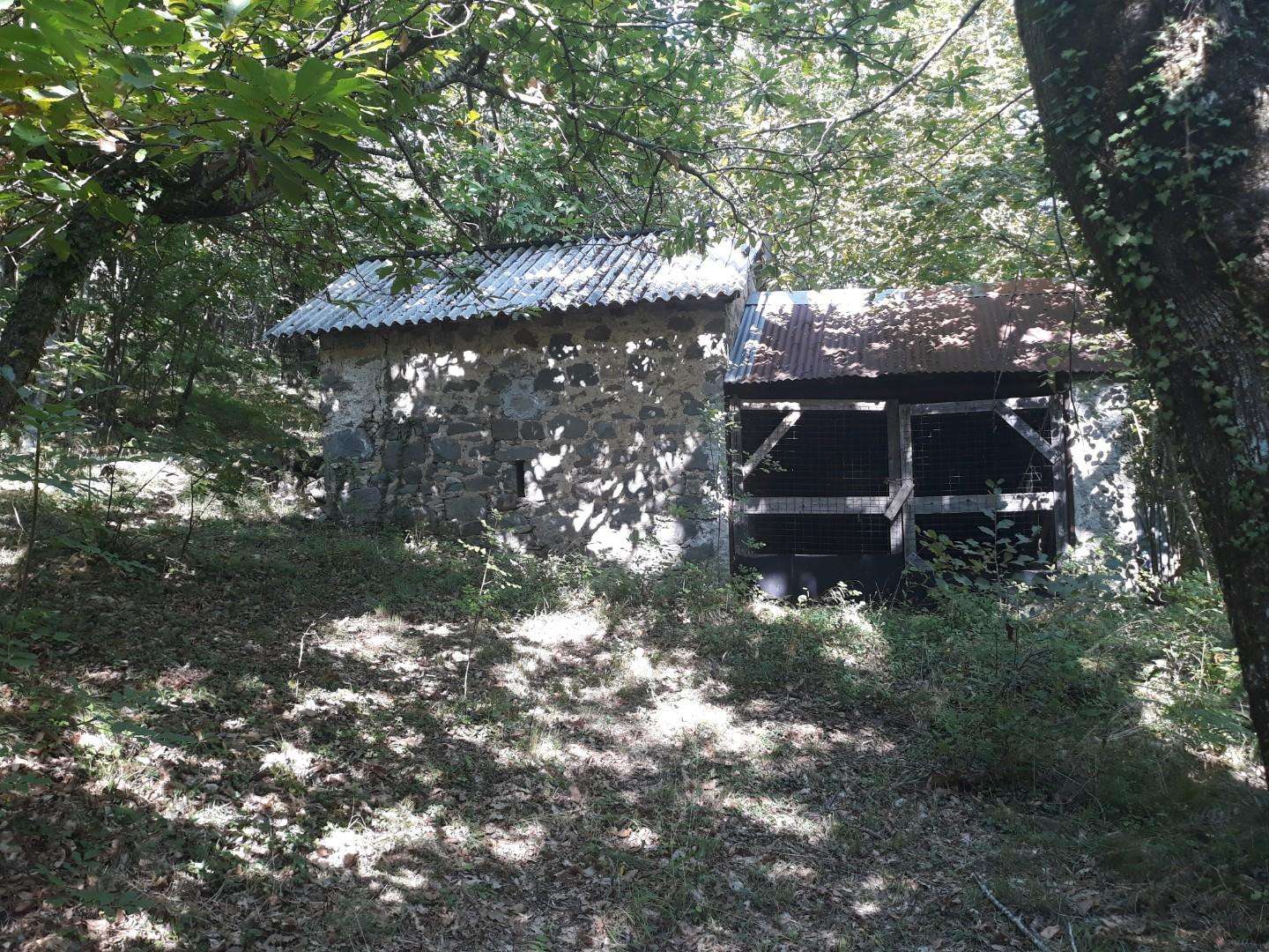  - foto 6