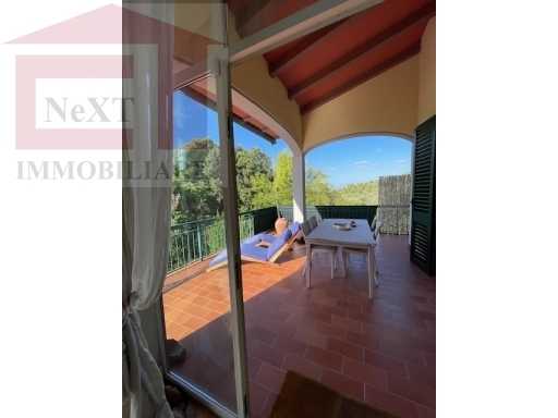  - foto 35