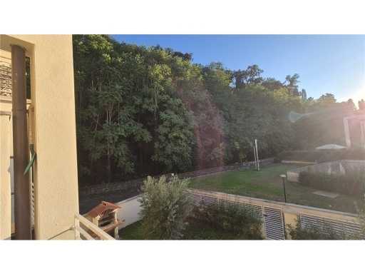  - foto 22