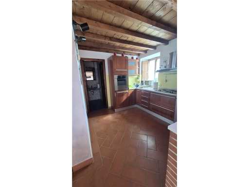  - foto 16