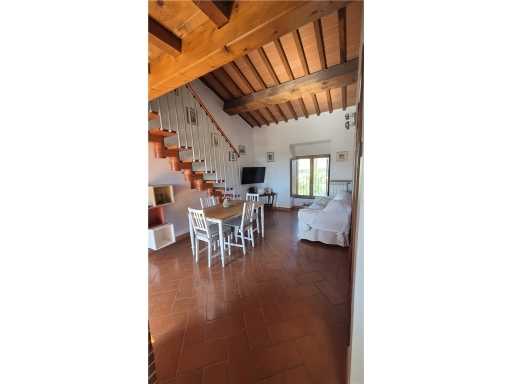  - foto 31