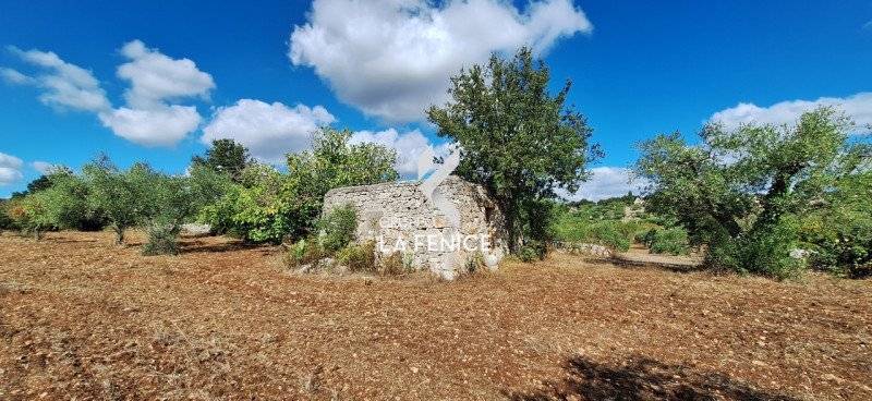  - foto 4