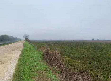 Terreno agricolo Piazzale Ponte Fior di Rosa, Legnago