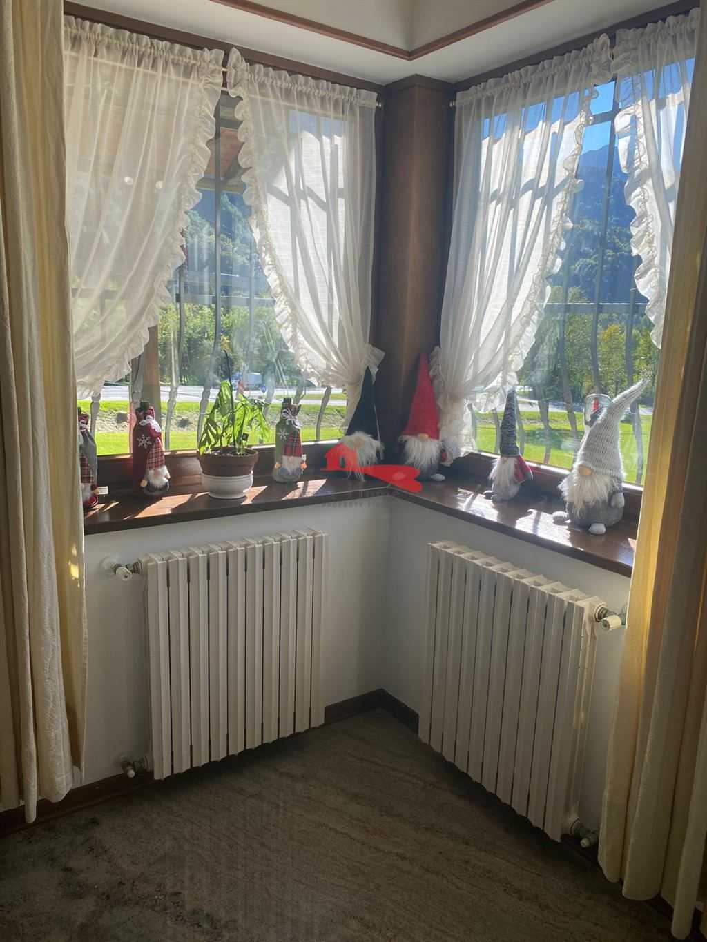 - foto 11