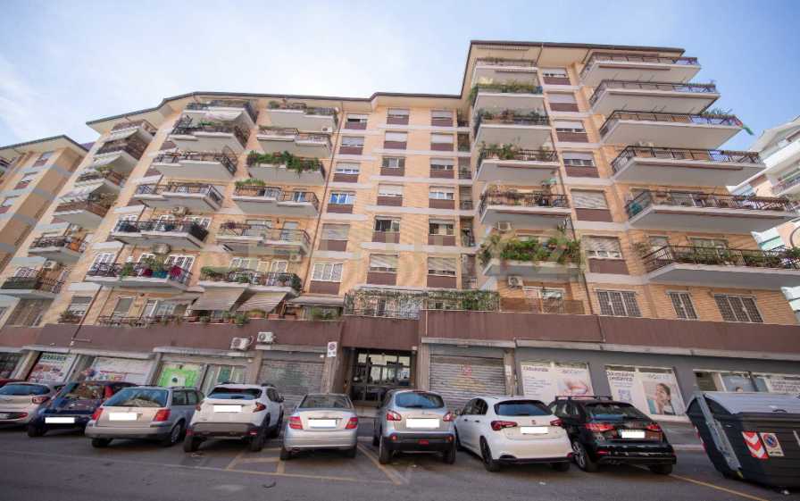  - foto 31