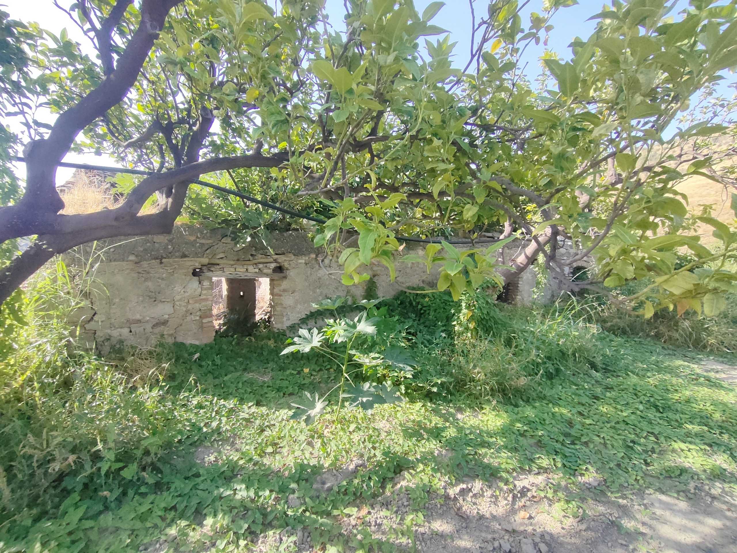  - foto 2