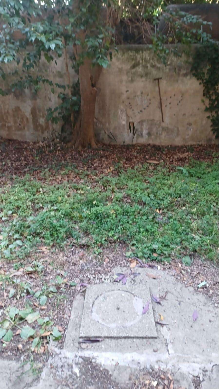  - foto 7