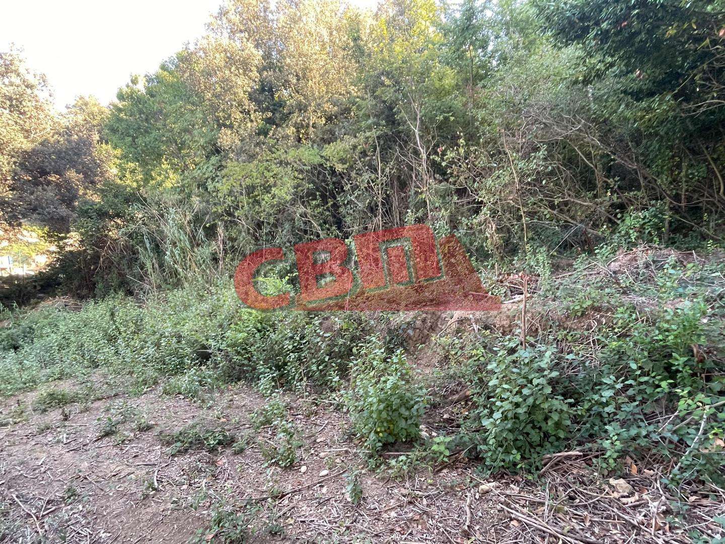  - foto 14
