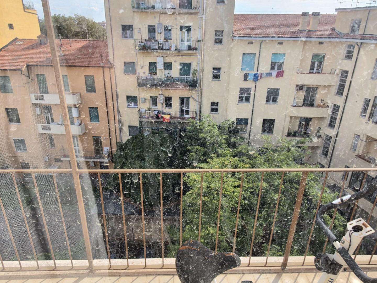  - foto 13