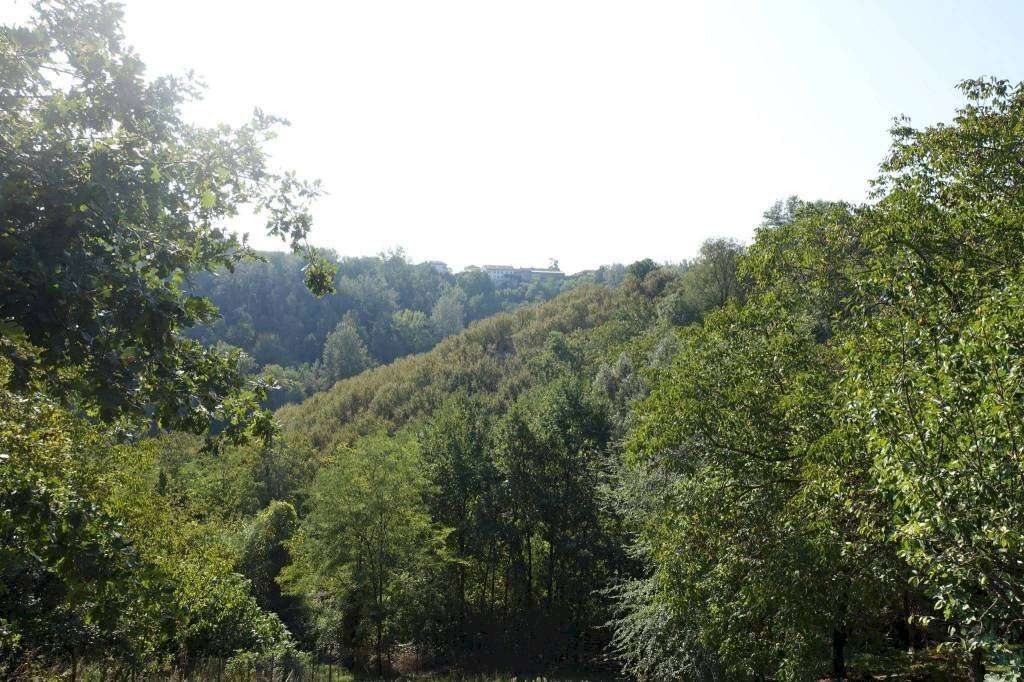 - foto 17