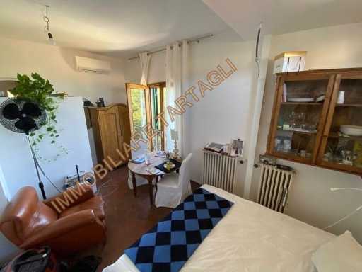  - foto 13