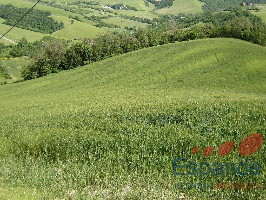 Terreno agricolo Via Guglielmo Marconi, 49, San Benedetto Val di Sambro