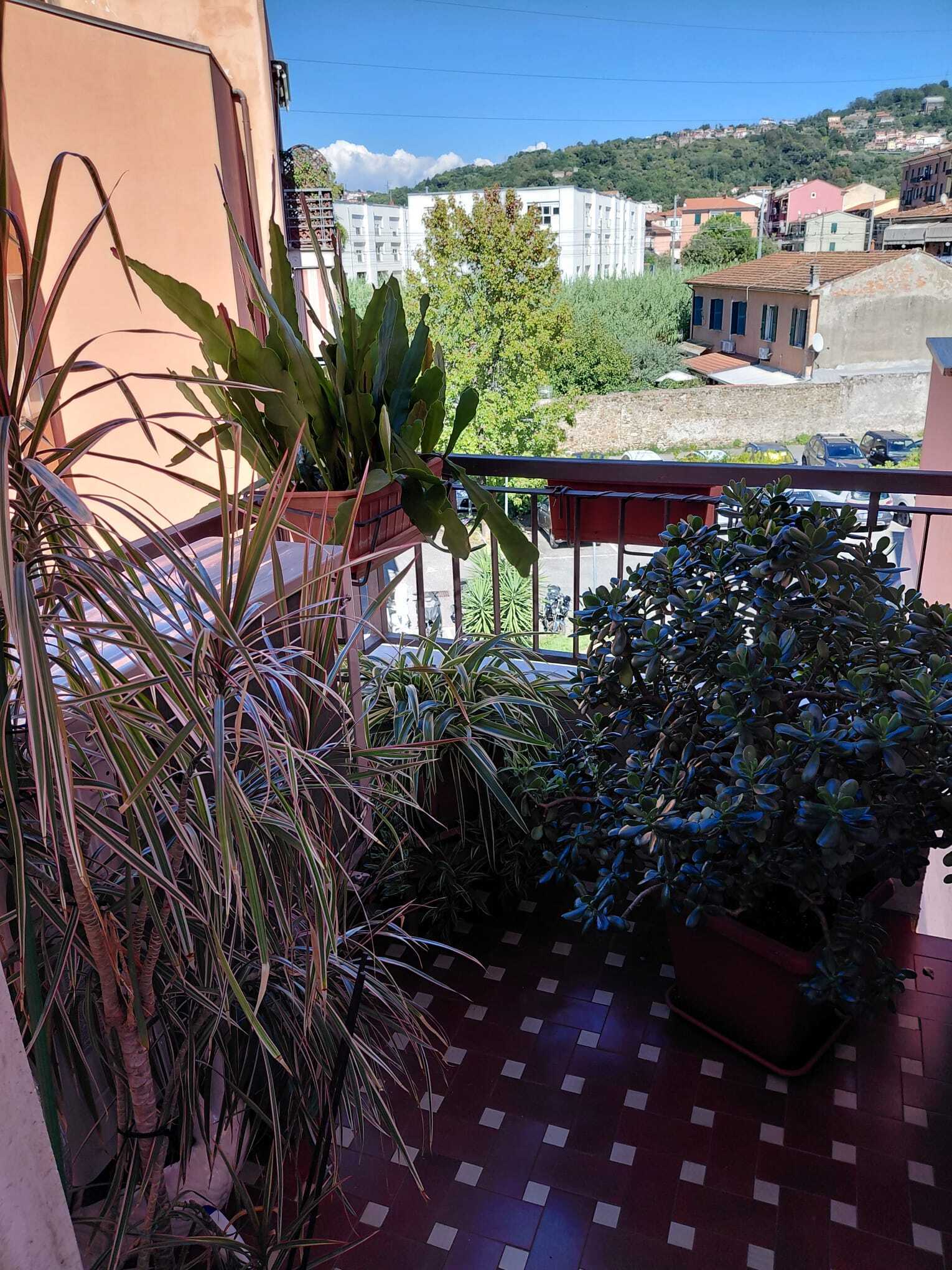  - foto 14