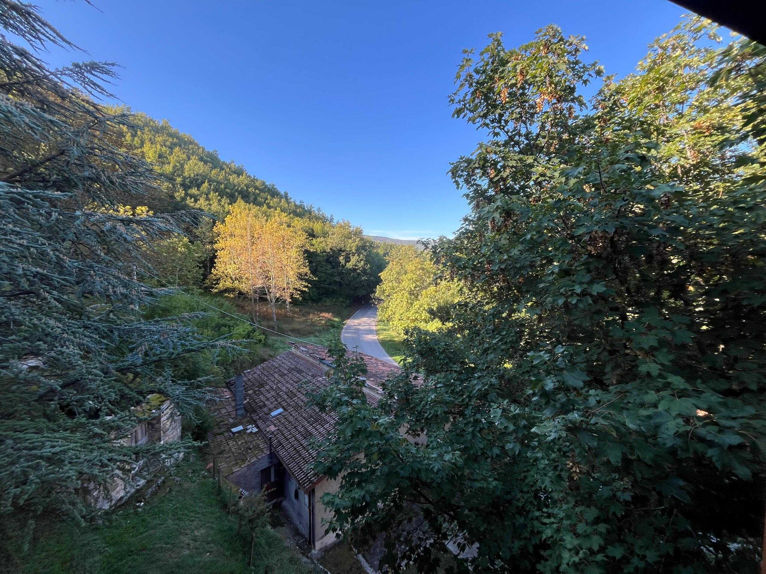  - foto 37