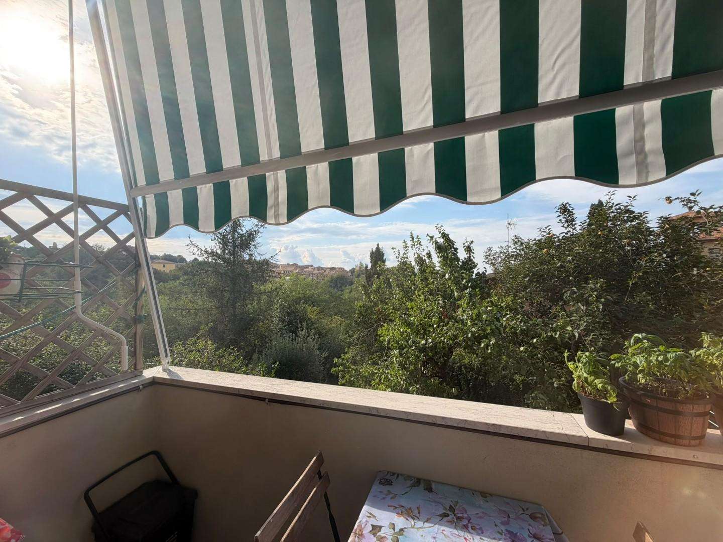  - foto 6