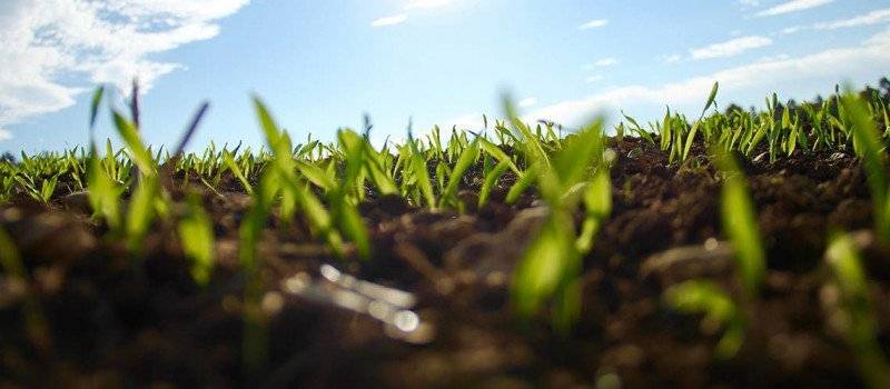 Terreno agricolo Piazza Cristoforo Colombo, Abano Terme