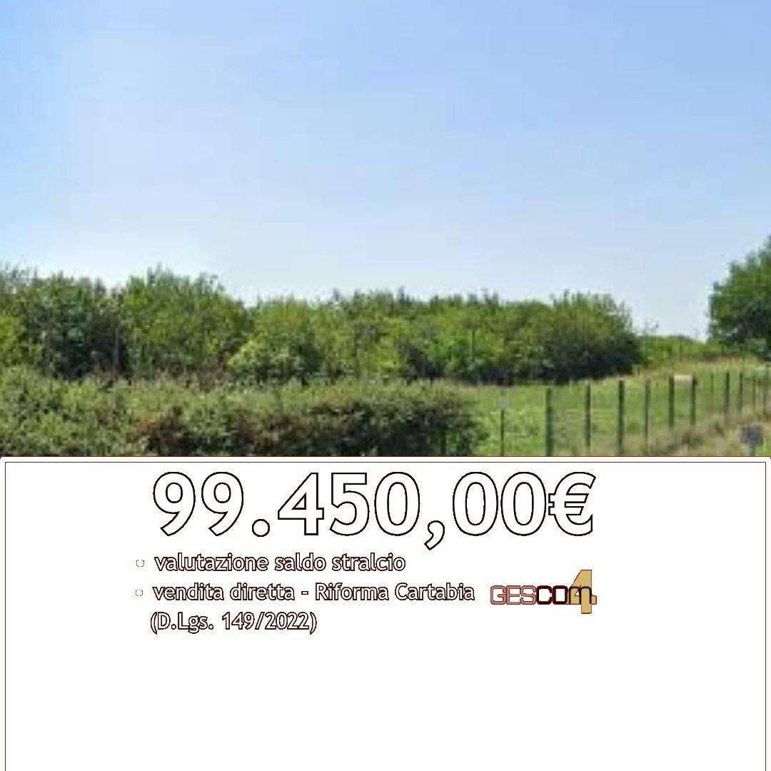 Terreno agricolo Via Verona, Legnago
