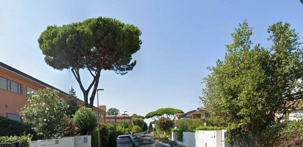  - foto 8