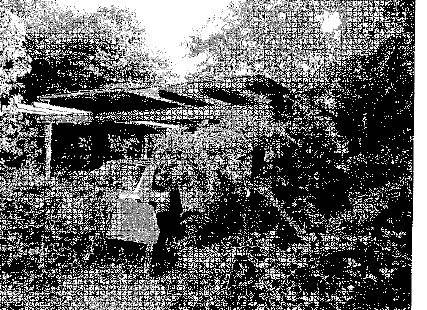 - foto 6