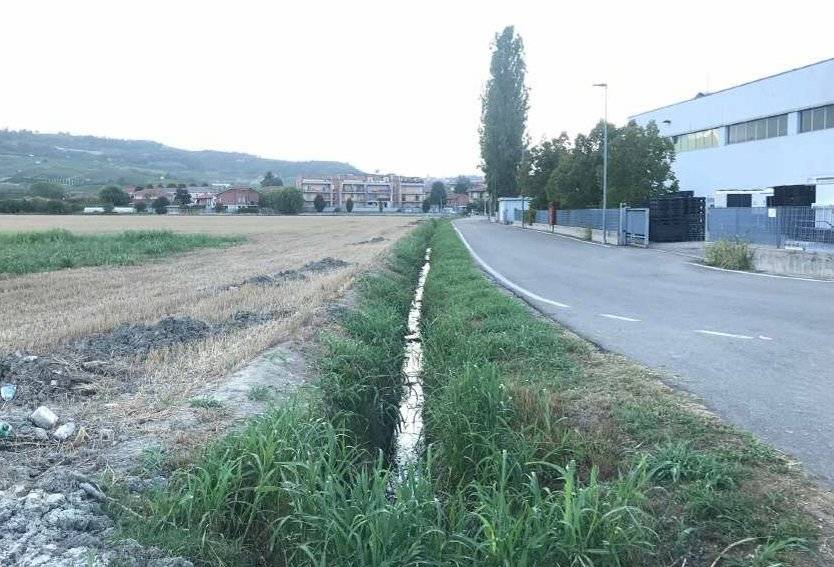  - foto 7