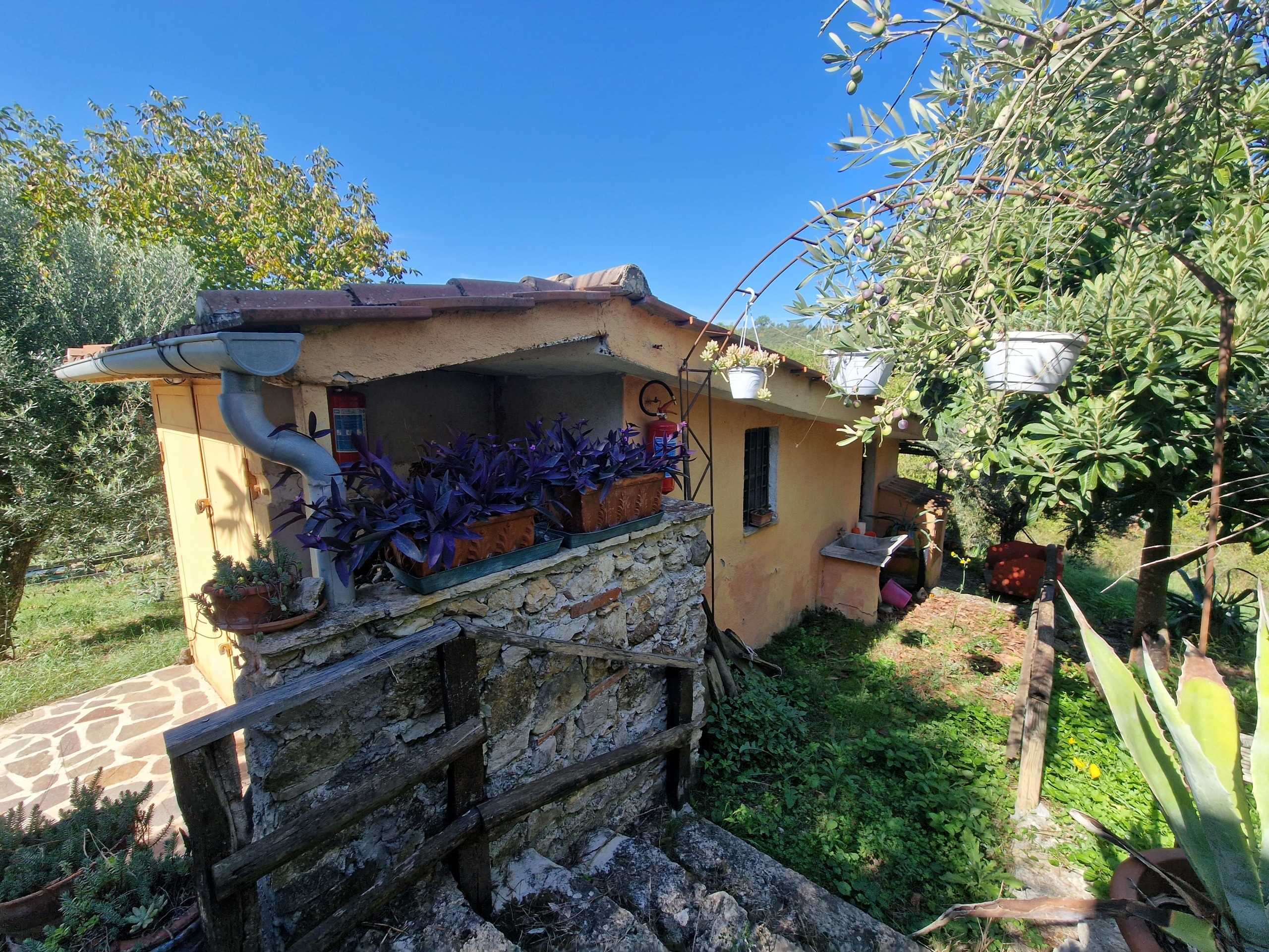  - foto 12