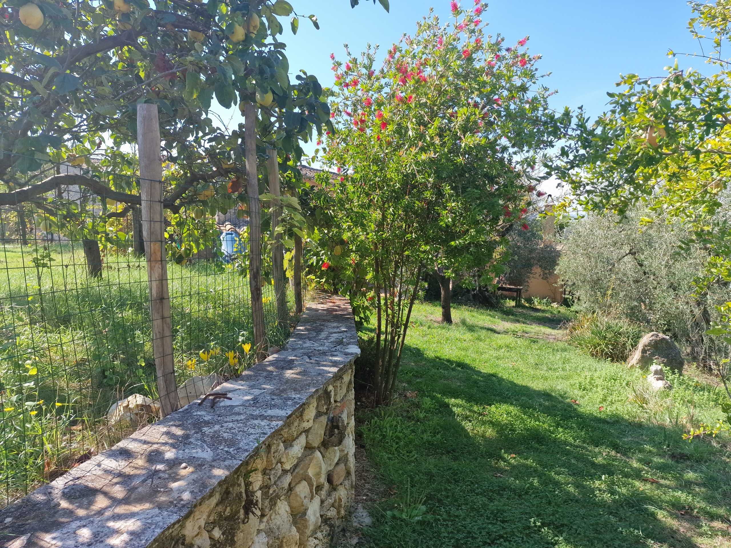  - foto 16