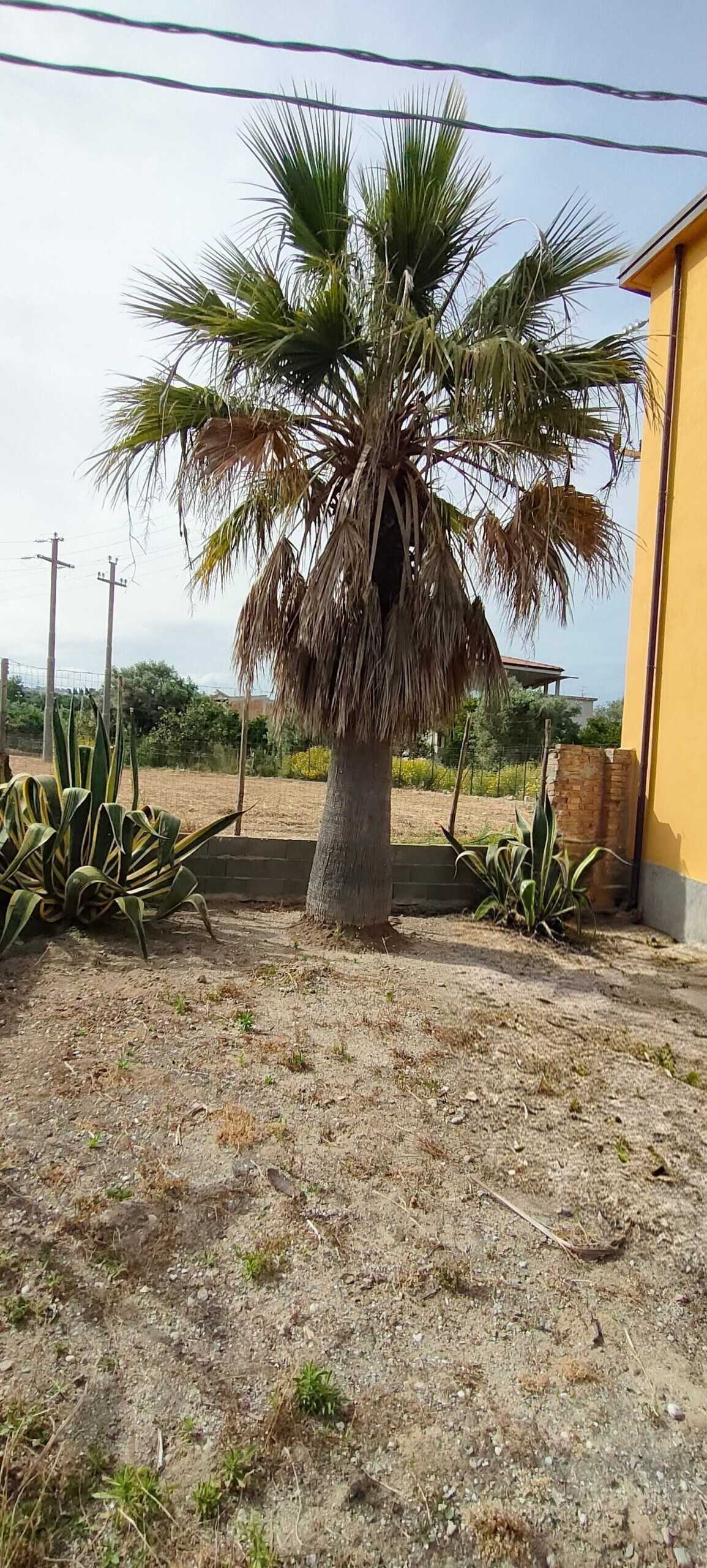  - foto 18