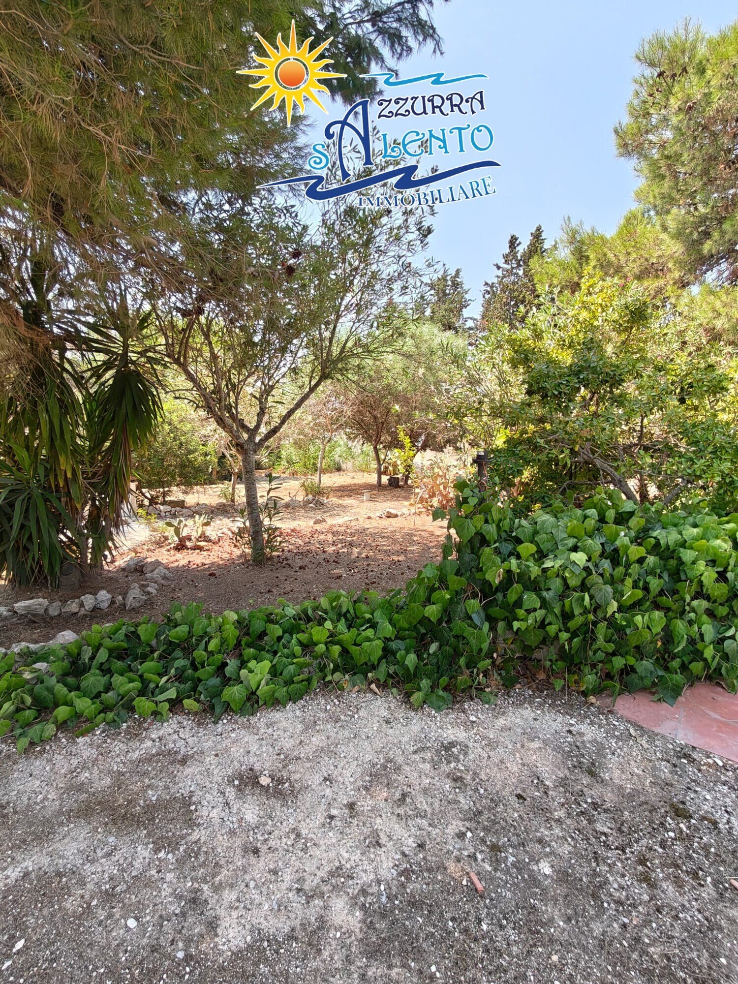  - foto 56
