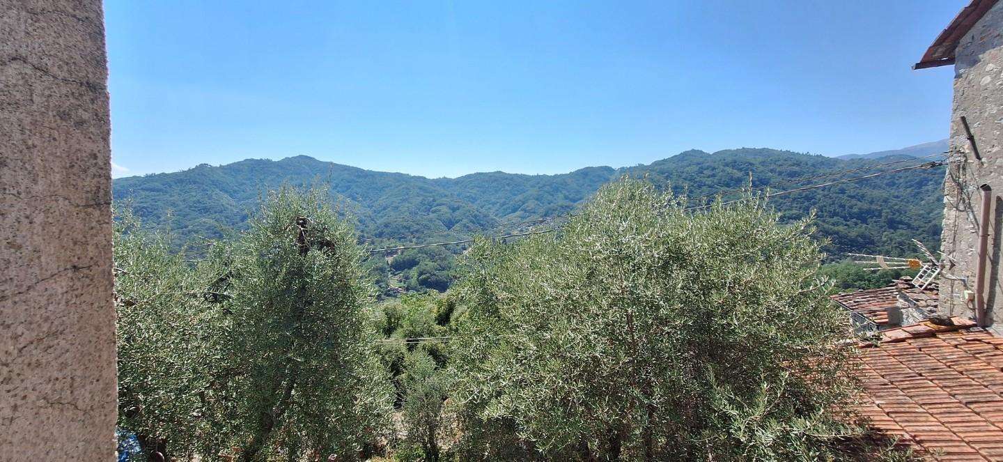  - foto 15