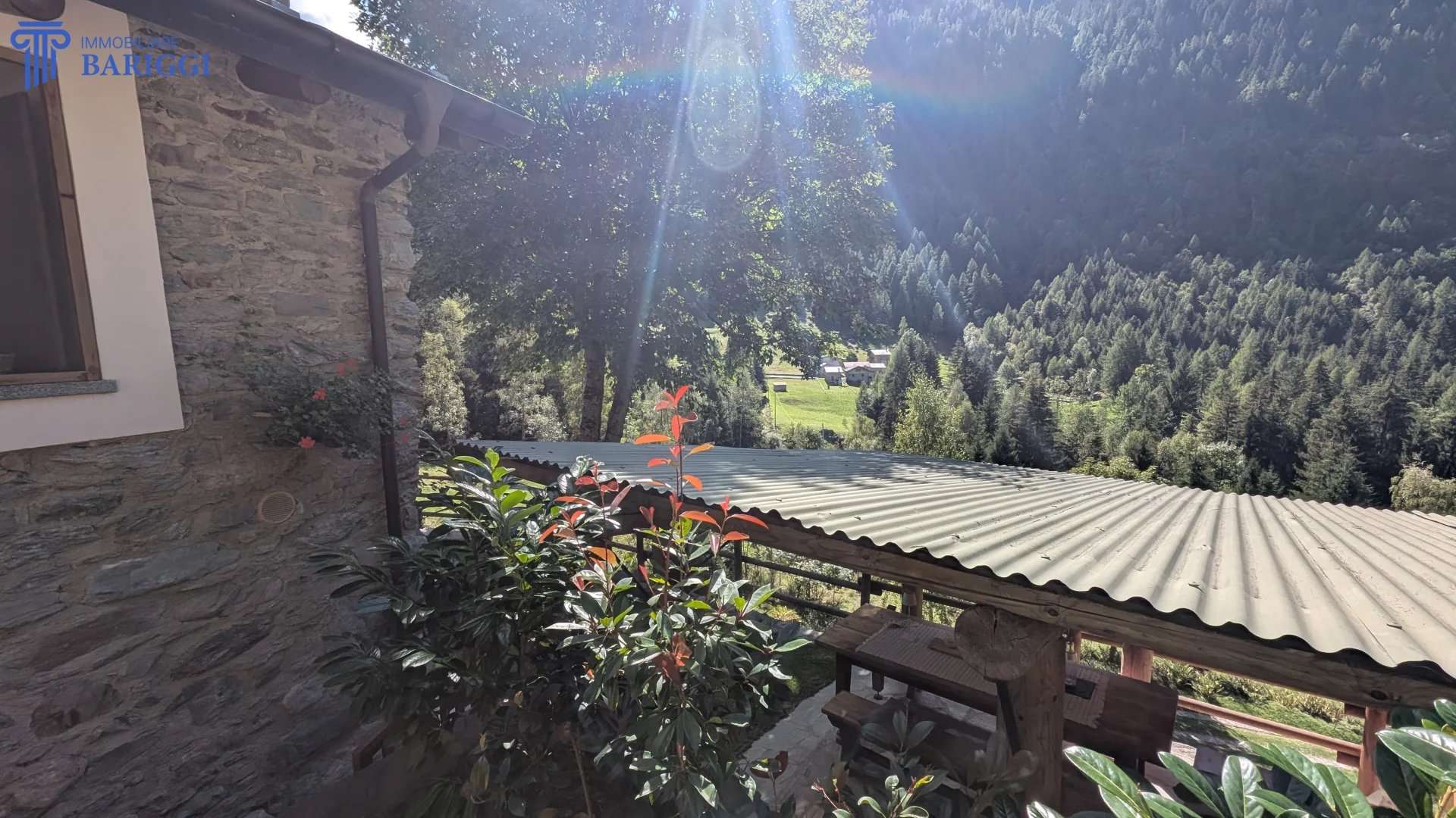  - foto 61