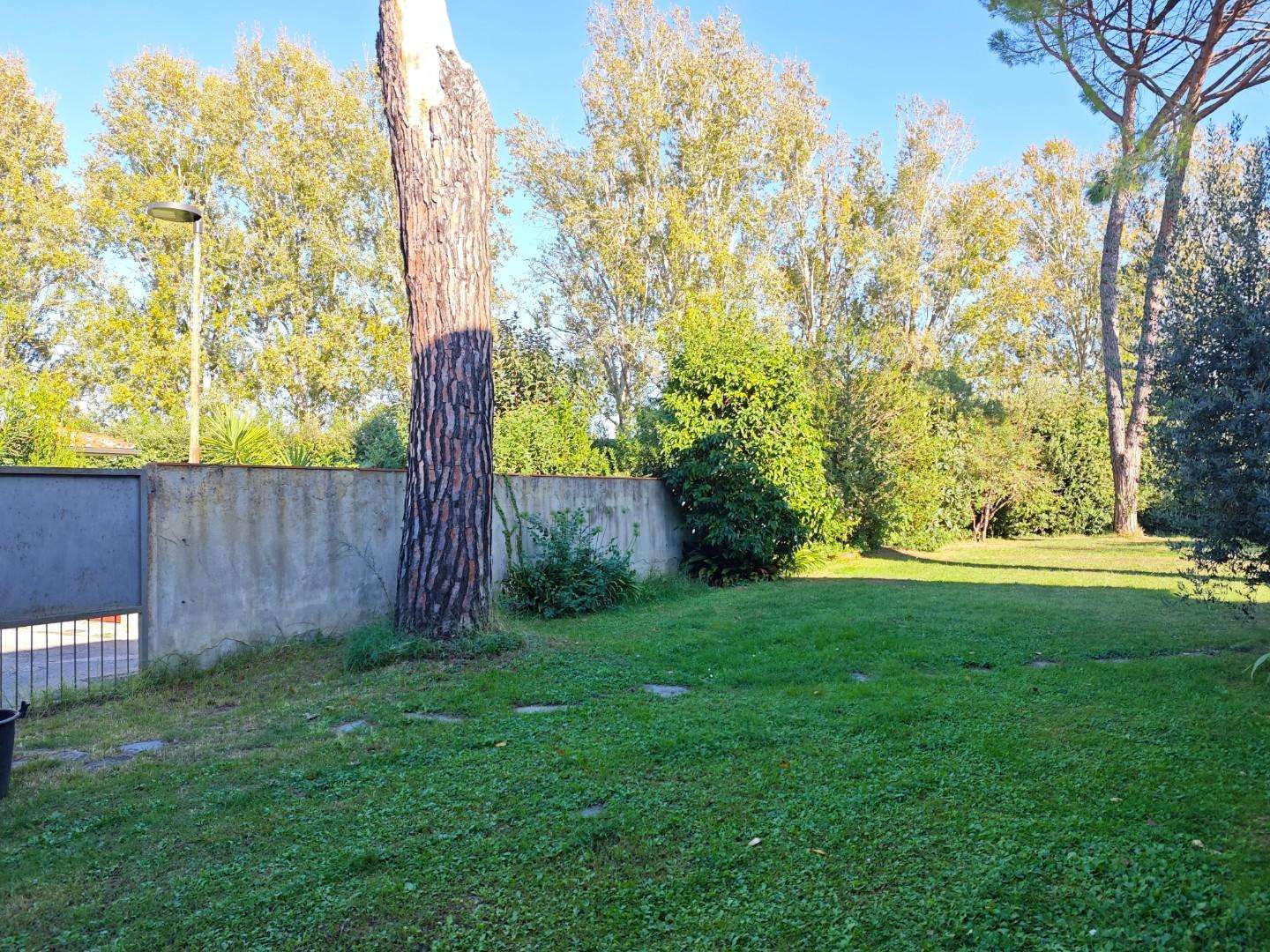  - foto 13