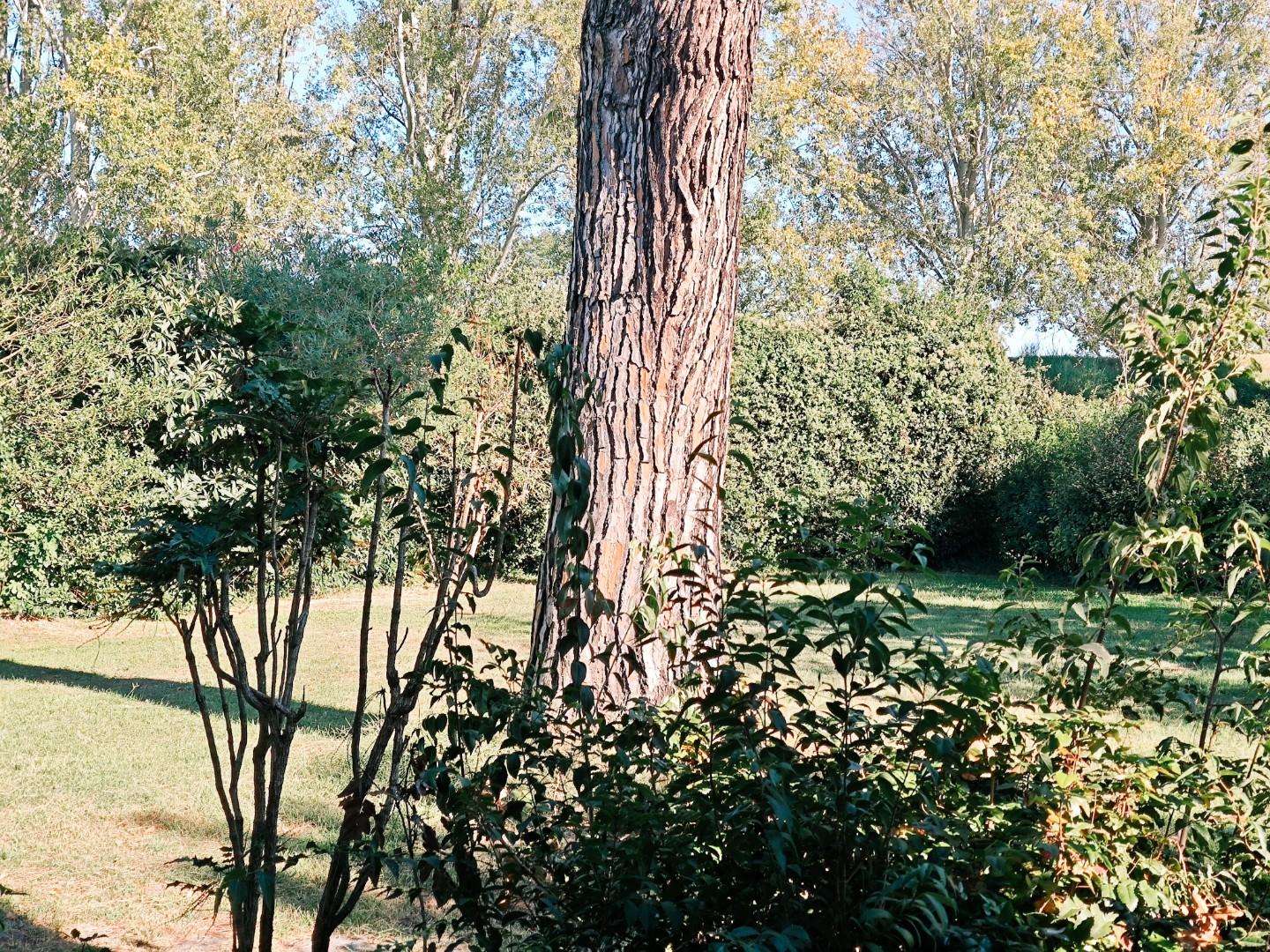  - foto 21