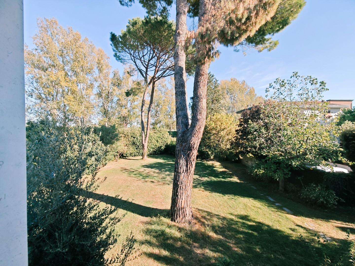  - foto 46