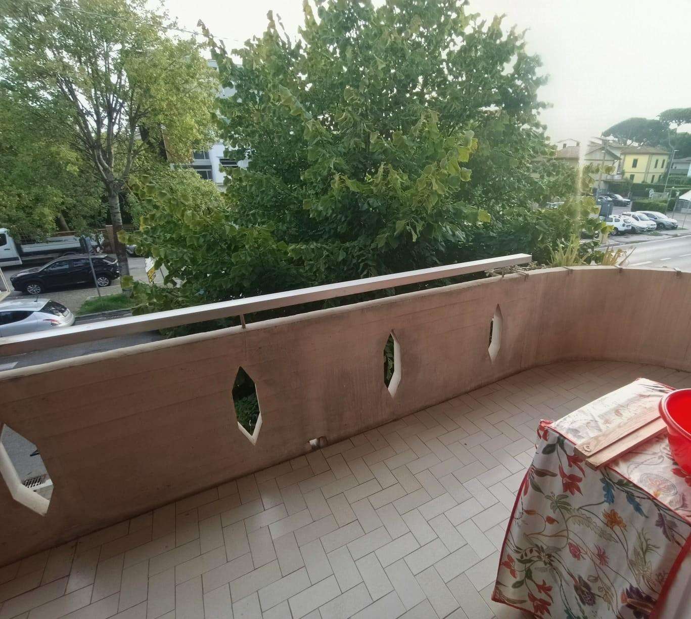  - foto 13